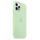 Capa Silicone Gel Apple Iphone 13 Pro Verde Premium