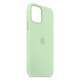 Capa Silicone Gel Apple Iphone 13 Verde Premium
