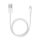 Cabo De Dados Alrossio Para Iphone A1510 Branco Md819zm/A 2m